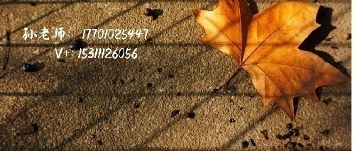 ϺѧMBA/ڵרҵ3+1Ӣ