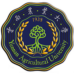 ũҵѧ2022ȫ180